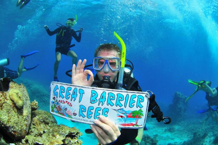 great barrier reef diving