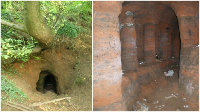 Królicza dziura na farmie prowadzi do tajemniczej sieci jaskiń Templariuszy