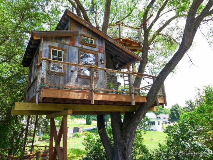 A treehouse in the woods