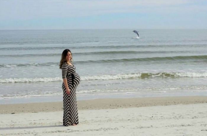 Vyfotil svou těhotnou ženu na pláži - s delfínem v pozadí!