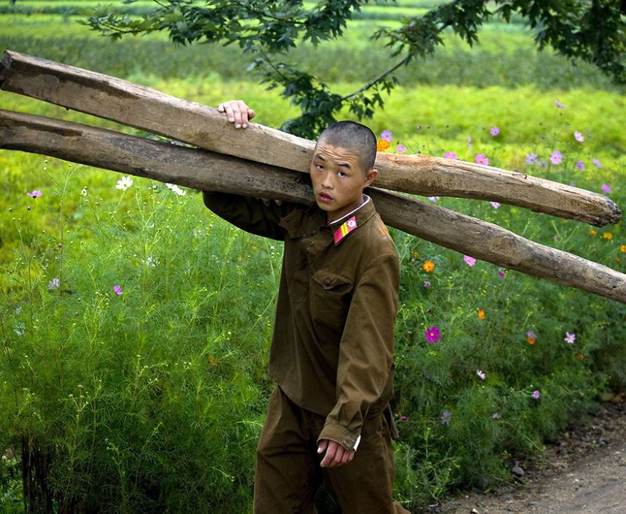 Soldado norcoreano cargando madera