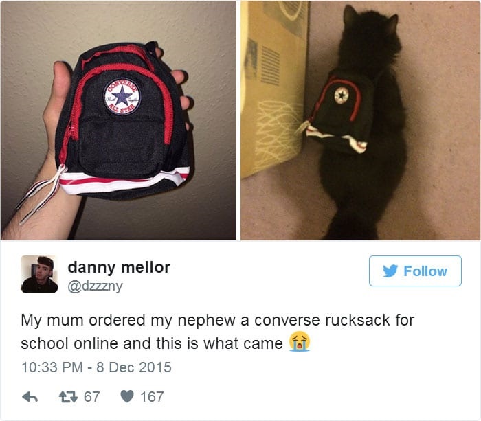 Kitten backpack