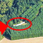 Mężczyzna znalazł w lesie samolot - kiedy do niego podszedł, śmiertelnie się przestraszył!