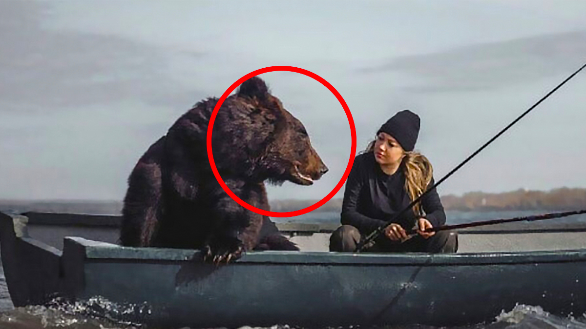 woman and bear in a boat