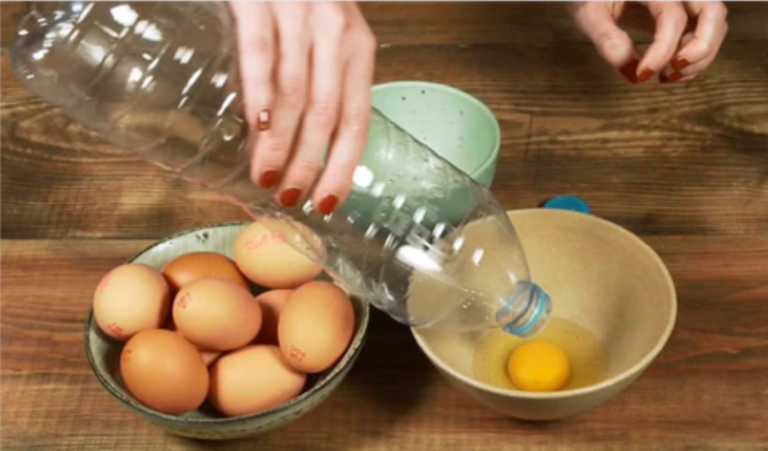 Những cách đơn giản để tái sử dụng chai nhựa