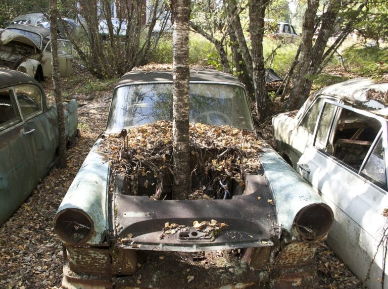 森の中で廃車を発見 – 車に近づくと命の危険を感じた！